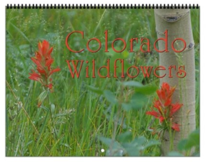 Colorado Wildflowers Vol 1 Calendar