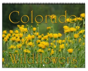Colorado Wildflowers Vol 2 Calendar