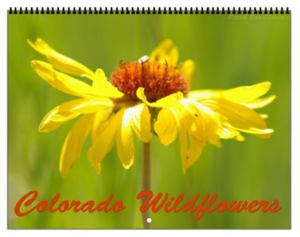 Colorado Wildflowers Vol 3 Calendar